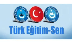 Türk Eğitim Sen Okullara Gönderilen Afişlere Tepki Gösterdi!